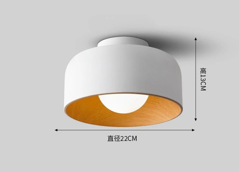 Plafonnier rond noir mat en fer avec LED G9 à lumière variable - Lumeria